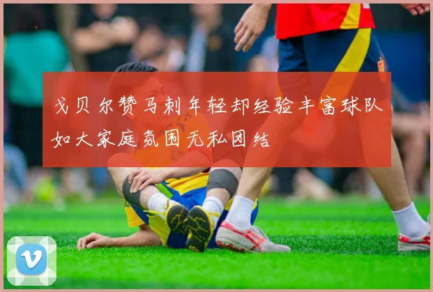 戈贝尔赞马刺年轻却经验丰富球队如大家庭氛围无私团结