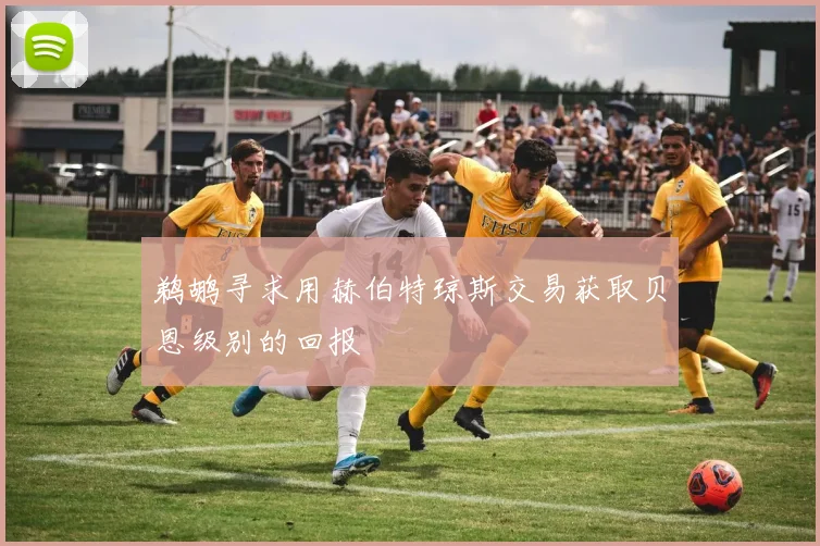 鹈鹕寻求用赫伯特琼斯交易获取贝恩级别的回报