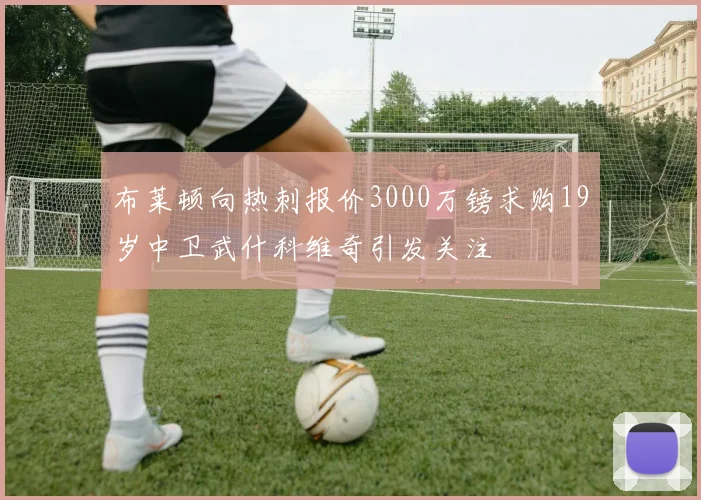 布莱顿向热刺报价3000万镑求购19岁中卫武什科维奇引发关注
