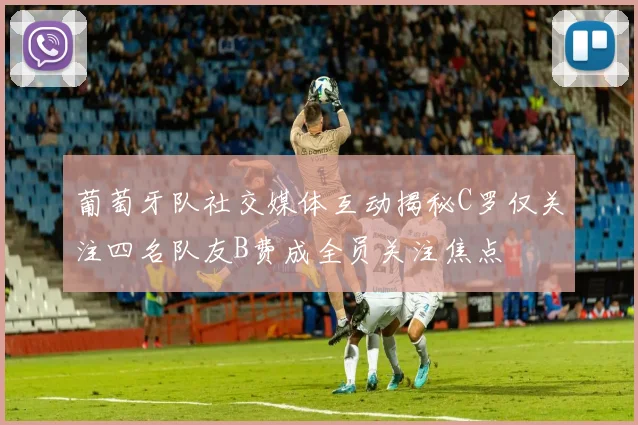 葡萄牙队社交媒体互动揭秘C罗仅关注四名队友B费成全员关注焦点