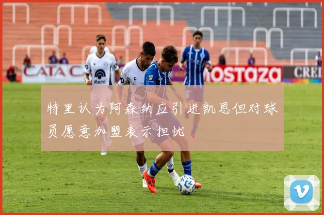 特里认为阿森纳应引进凯恩但对球员愿意加盟表示担忧