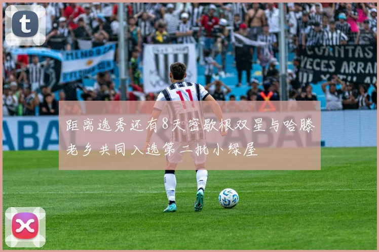 距离选秀还有8天密歇根双星与哈滕老乡共同入选第二批小绿屋