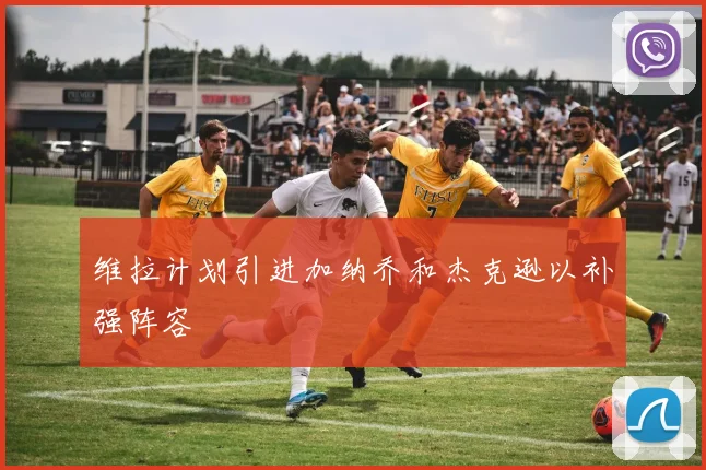 维拉计划引进加纳乔和杰克逊以补强阵容
